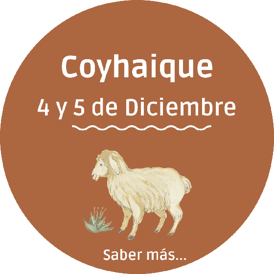 Coyhaique - 4 y 5 de Diciembre